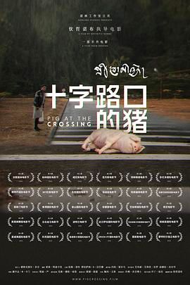 十字路口的猪
